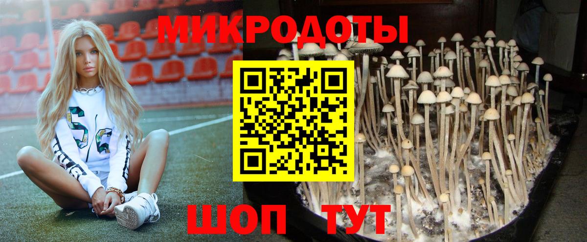 Галлюциногенные грибы Magic Shrooms Можга