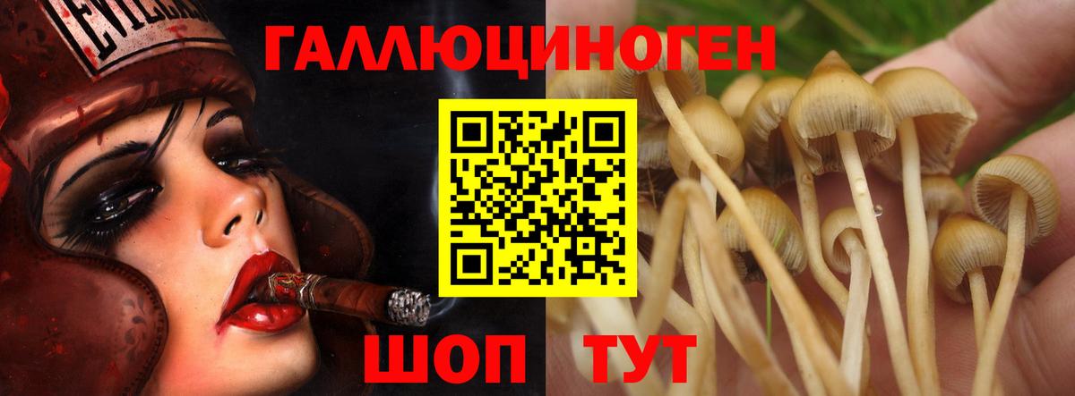 Можга  Псилоцибиновые грибы мицелий  магазин продажи   Вход с VPN 