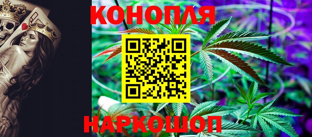 Бошки Шишки ГИДРОПОН Можга